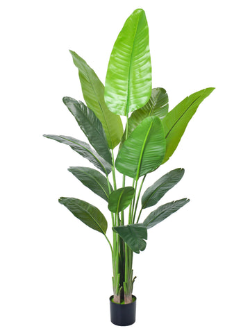 6FT Artificial Bird of Paradise Plant, Faux Palm Tree Potted Plant with Real Touch Leaves, Fake Trees Living Room
