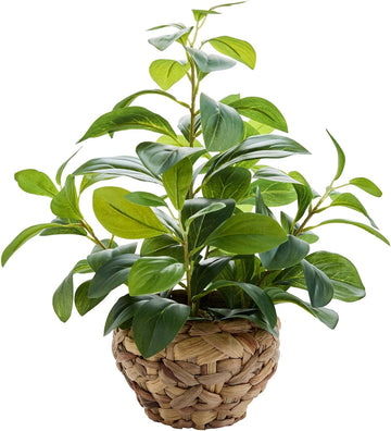 15" Artificial Broad Leaf Potted Plant in Handwoven Seagrass Basket Planter Small Tabletop Fake Plant for Indoor Home
