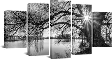 5 Pieces Wall Art Old Tree by Lake Picture Canvas Prints Sunrise Painting Black and White Landscape Canvas Art Modern