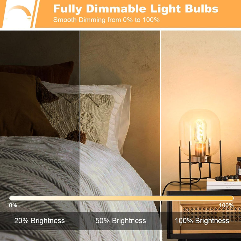 E26 LED Bulb 6W Equivalent 60 watt, Vintage Edison Bulbs, Warm White 2700K Amber E26 Edison Bulb dimmable,Tubular T14 - Set of 4