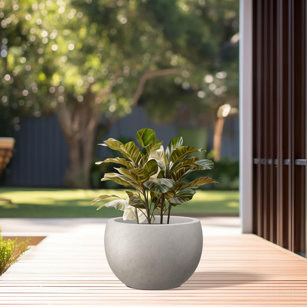 7.9" Tall Round Bowl Concrete Planter, Weathered Finish