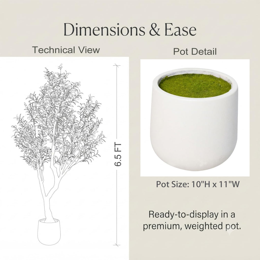 Artificial Olive Treewith White Pot, 6.5FT