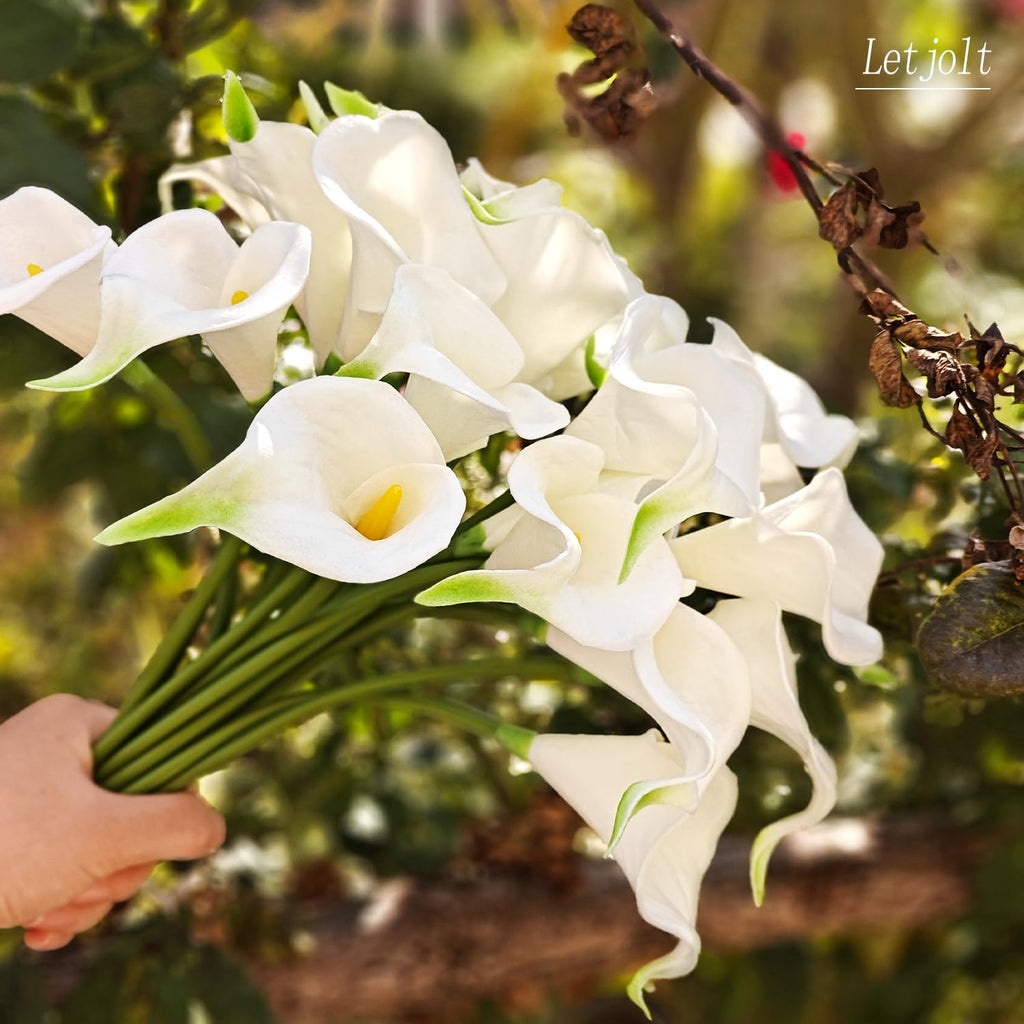 Artificial Calla Lily Flowers, Yellow White, 20Pcs