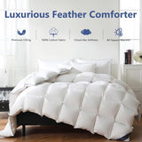 Feather Down Fiber Comforter Full, 100% Cotton Ultra Soft Fluffy Duvet Insert Full