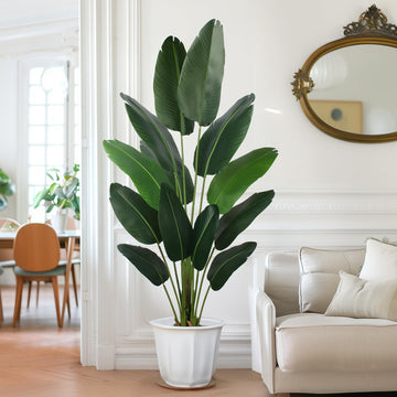 Artificial Bird of Paradise Plant 6 Ft Tall Fake Banana Plant for Indoors and Outdoors, Faux Palm Tree with Plastic