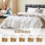 Goose Down Comforter Queen, All Season Duvet Insert, 100% Cotton Shell, 750+ Fill Power, 3D Baffle B