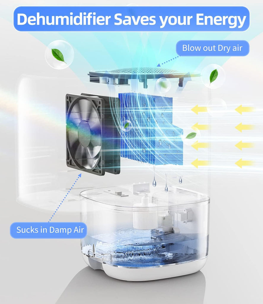 Dehumidifier, 35 OZ Small Dehumidifiers for Bedroom for Home, Quiet with Auto Shut Off