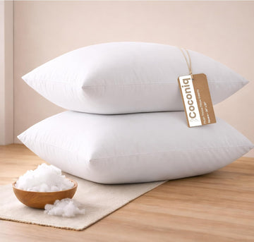 20x20 Throw Pillow Inserts, Premium Polyester Cushion Fillers, Fluffy White Decorative Pillows for Couch - Set of 2