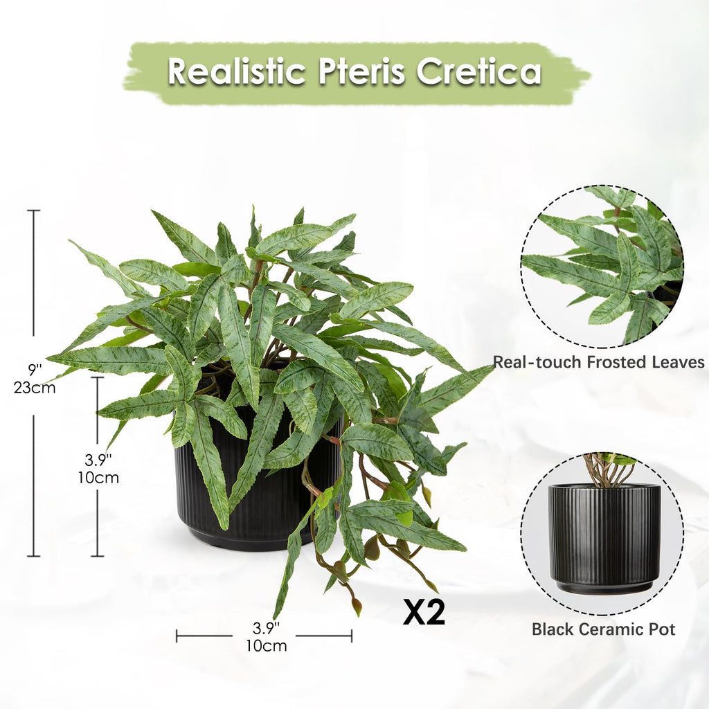 Faux Plants Indoor 9'' Artificial Potted House Plant with Black Ceramic Pot Fake Pteris Cretica Fern Plant Room Desk