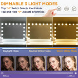 Hollywood Vanity Mirror with Dimmable 15LED Bulbs Lights 3 Lighting Modes 2in1 Large Lighted Makeup Mirror for Desk