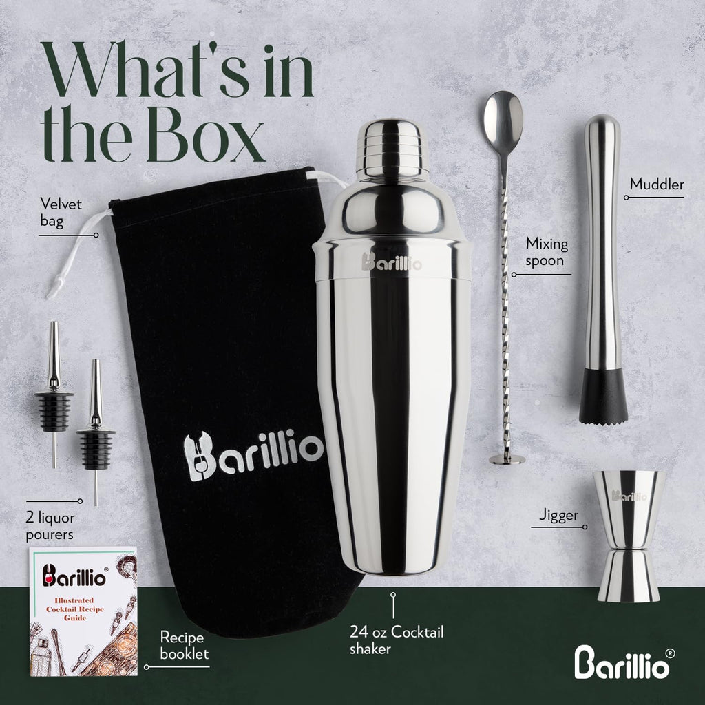 Mixology Bartender Kit - 8 pcs Stainless Steel Travel Cocktail Shaker Set with Bag - Bar Tools Set with Martini