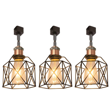 H System Track Lighting Heads, Vintage Loft Design Track Lighting Heads with Flexible Light Arm, Black Basket Cage