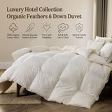 Feather Down Comforter Queen, Hotel-Luxury Fluffy Duvet Insert with Organic Cotton Cover and Puffy F