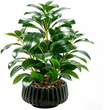 16" Artificial Peperomia Potted Plant in Black Ribbed Ceramic Planter Realistic Faux Green Leaves Tabletop Branches