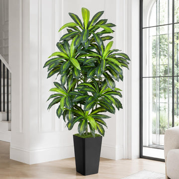 7FT Artificial Dracaena Tree - High-Density Foliage Fake Plant with Black Tall Planter - Faux Yucca Floor Plant Decor