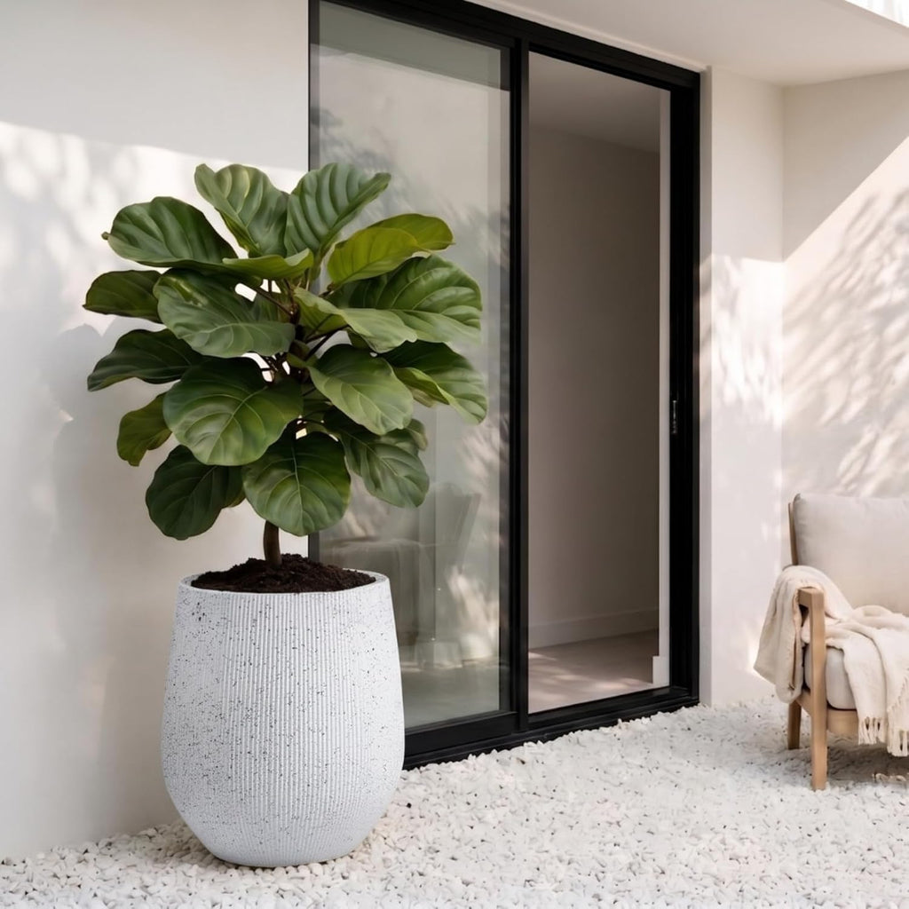 21" H x 19" D Premium Corso Fiberstone Planter - Speckled White | 15" Pot Opening, Ribbed, Included 2 Extra Coco