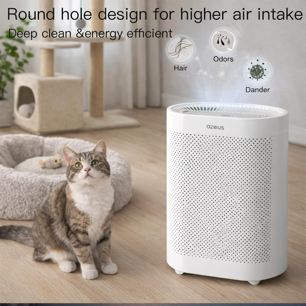 Air purifier