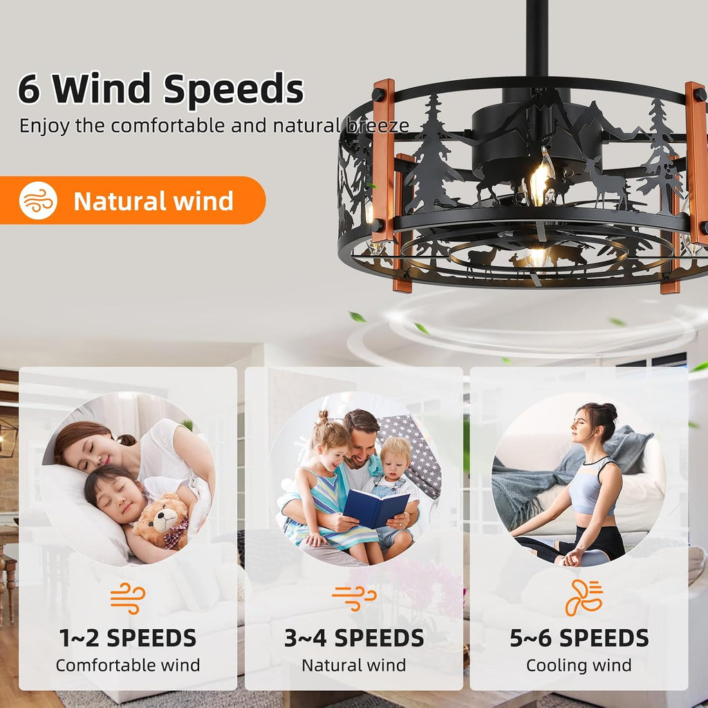 19 inch Caged Ceiling Fans with Lights - Black Farmhouse Ceiling Fan Light with 6 Speeds, Reversible Silent Motor