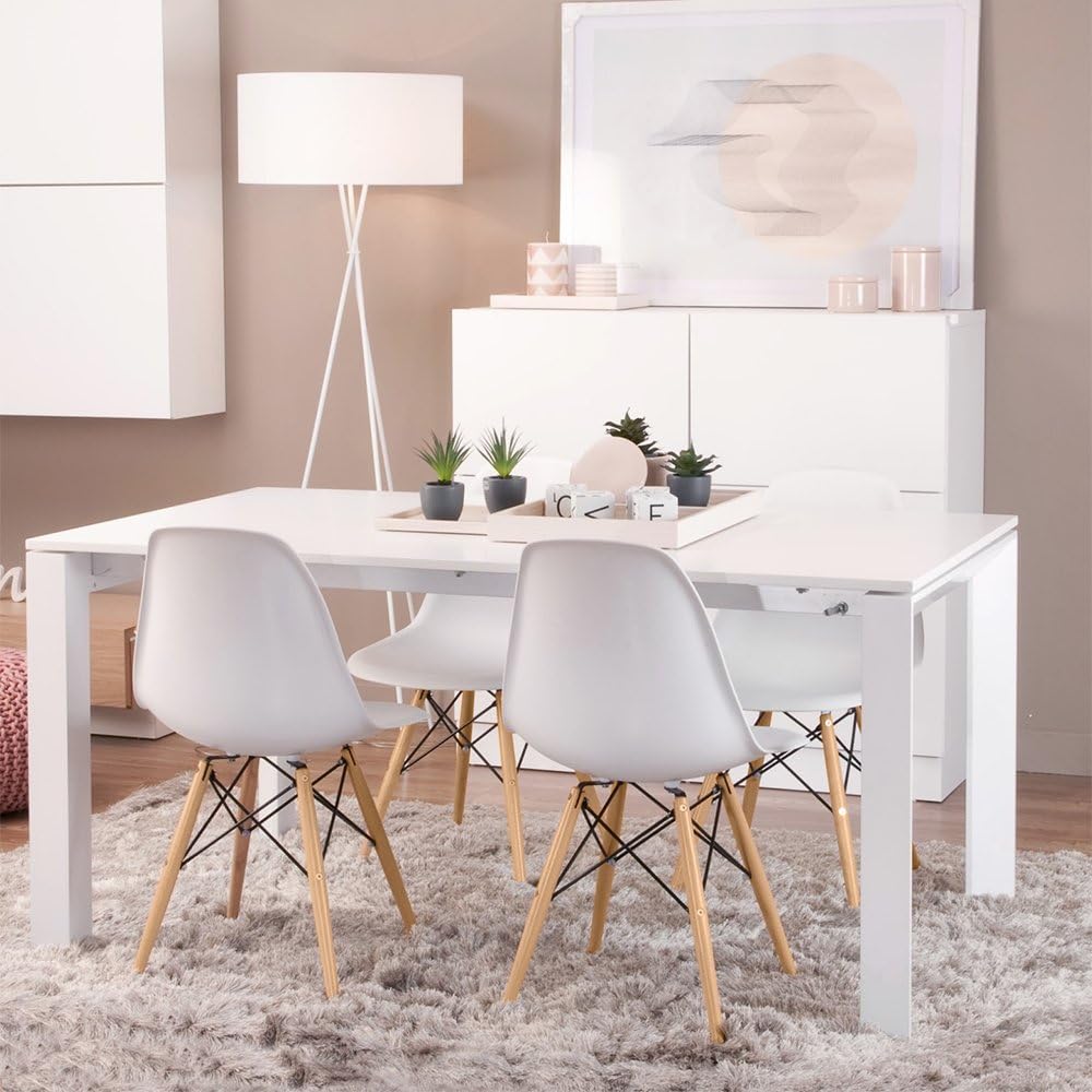 Modern Style Dining Chair Mid Century Modern DSW Chair, Shell Lounge Plastic Chair for Kitchen, Dining, Bedroom
