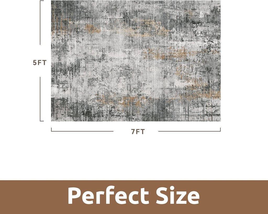 5 x 7 Area Rugs, Machine Washable Non Slip Rug Ultra Soft Low Pile Indoor Carpet Modern Abstract Rugs Office Room