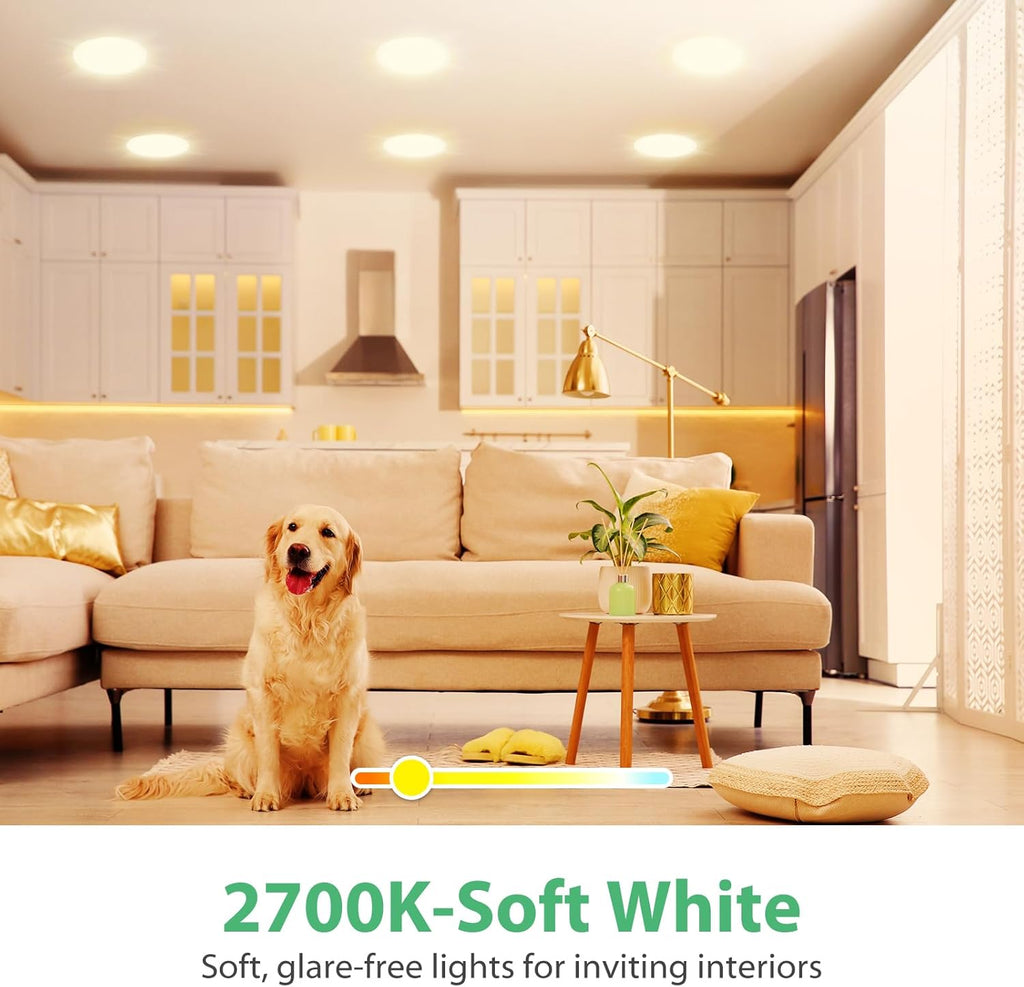 12 Pack BR30 LED Recessed Light Bulb, Dimmable Indoor Flood Light Bulbs CRI80 7W Equivalent 65W 2700K Soft White 650