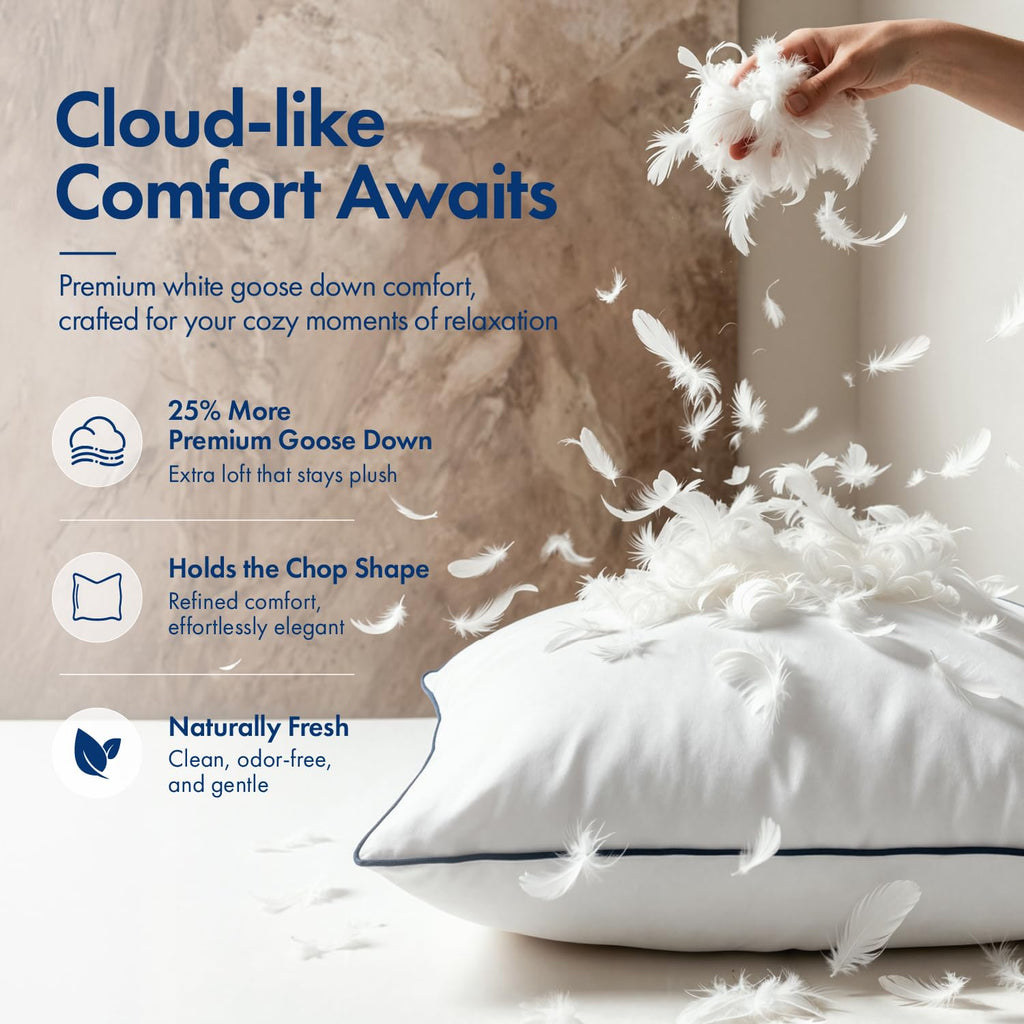 Goose Feather Down 26x26 Euro Pillow Insert Set of 2 with 100% Down-Proof Cover, Soft Fluffy Decorative Pillow for