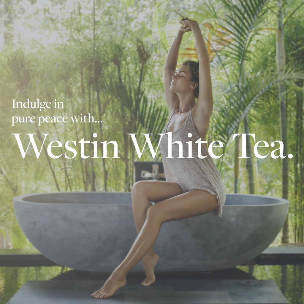 White Tea Room Diffuser Refill - Signature White Tea Scent - Hotel Aroma Collection - Compatible Only with Scent