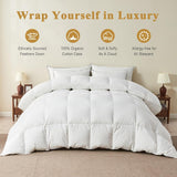 Feather Down Comforter Queen, Luxury Extra-Fluffy Duvet Insert
