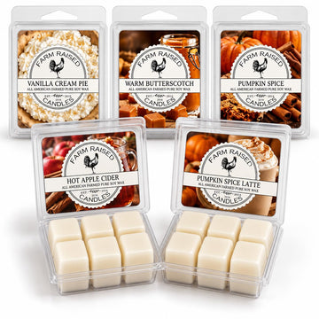 Fall Wax Melts Variety Pack, Pumpkin Spice, Apple Cider & Autumn Scents, Soy Wax Melts for Warmers, Hand Poured in