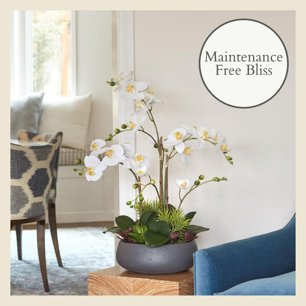 Faux Orchid Plant w/Succulents, 24 in, Grey, Home Decor