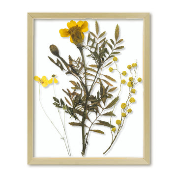 8x10 Gold Aluminum Floating Picture Frame Real Glass