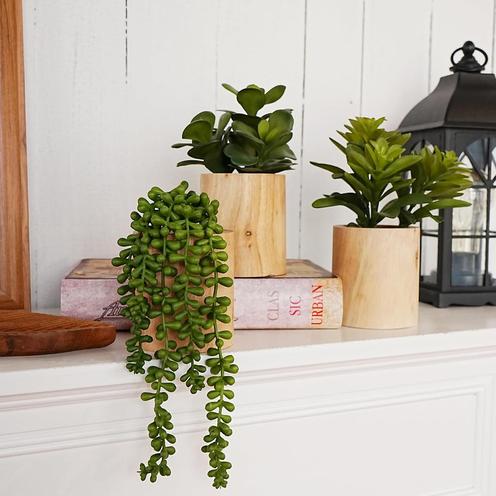 Artificial Succulents Plastic Artificial Green Plant Decor (Set of 3 Succlents in Wooden pots)