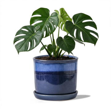 8 Inch Ceramic Plant Pot with Bonded Saucer & Drainage Hole, Large Modern Blue Flower Planter for Indoor Outdoor