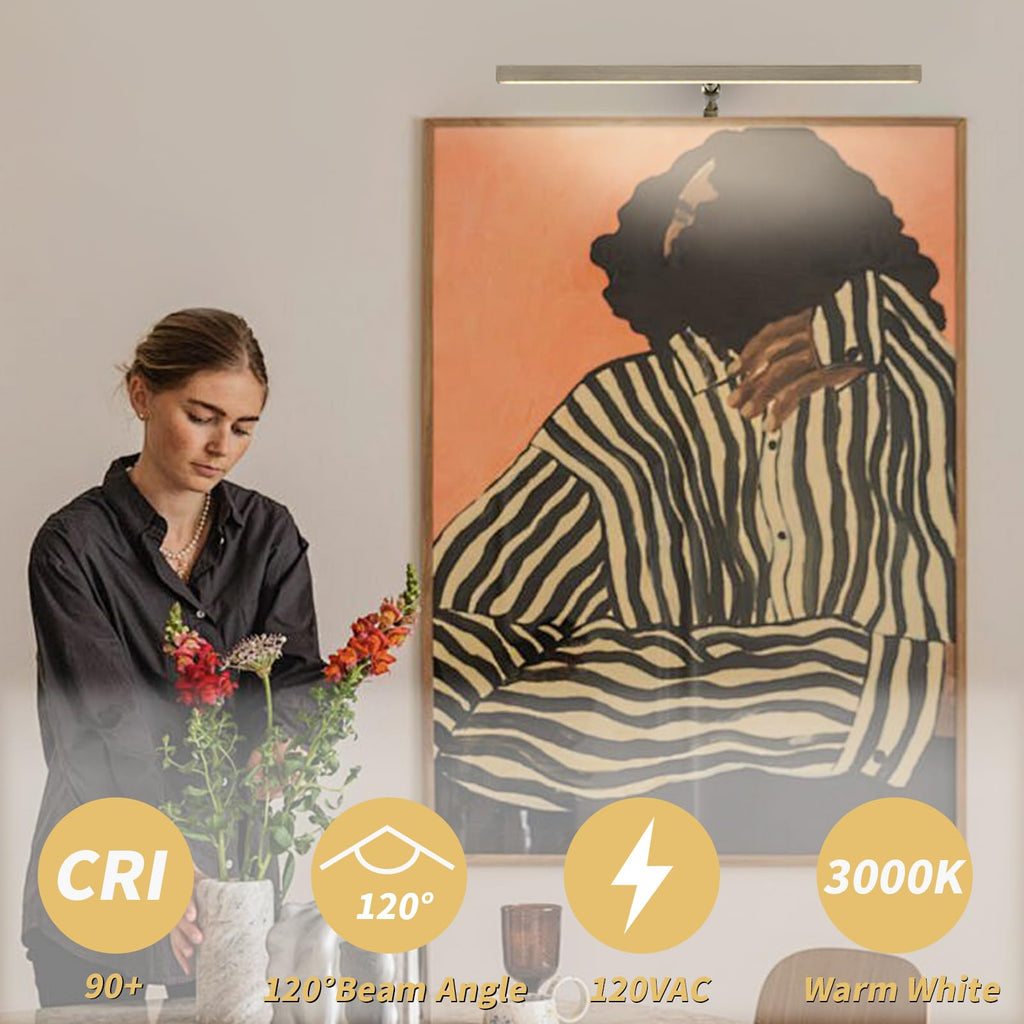 LED Picture Lights for Paintings Plug in, 16 Inch 4W Adjustable Art Light Gallery Wall Light for Display Art Work