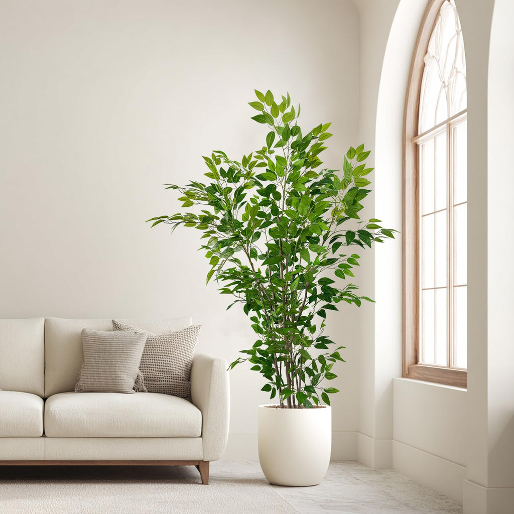 6ft Artificial Ficus Tree with White Plastic Planter