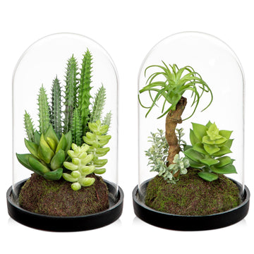 Set of 2 Artificial Succulents Plants in Glass Dome with Featuring Sand Moss, Small Fake Cactus Plants Faux Plants