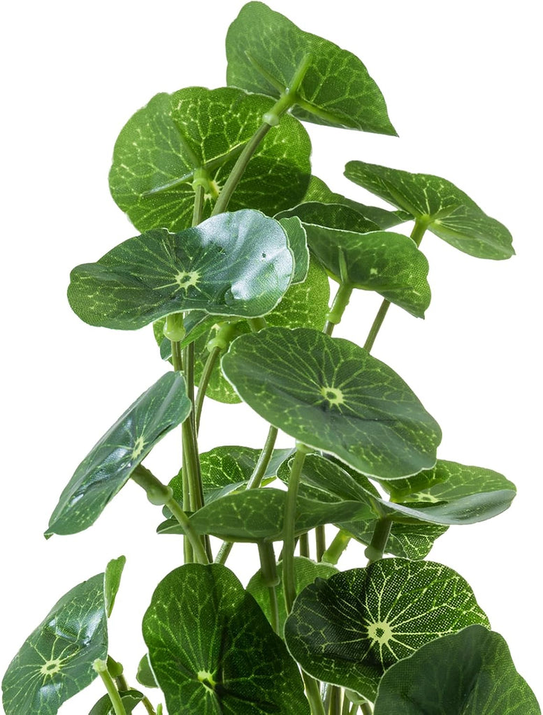 Set of 3 Small Assorted Artificial Plants in Clear Glass Pot | Indoor Faux Plant Potted in Pebbles Decor, Mini