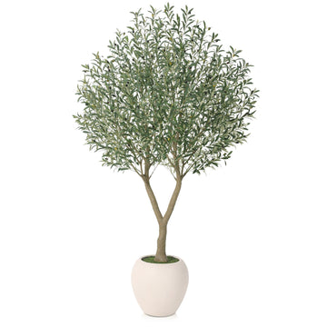 8FT Olive Trees Artificial Indoor with 18in White Round Planter