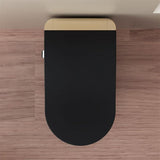 Modern Smart Toilet With Bidet, Auto Open Close, Heated Seat, Automatic Flush, Foam Shield, Warm Water And Dryer