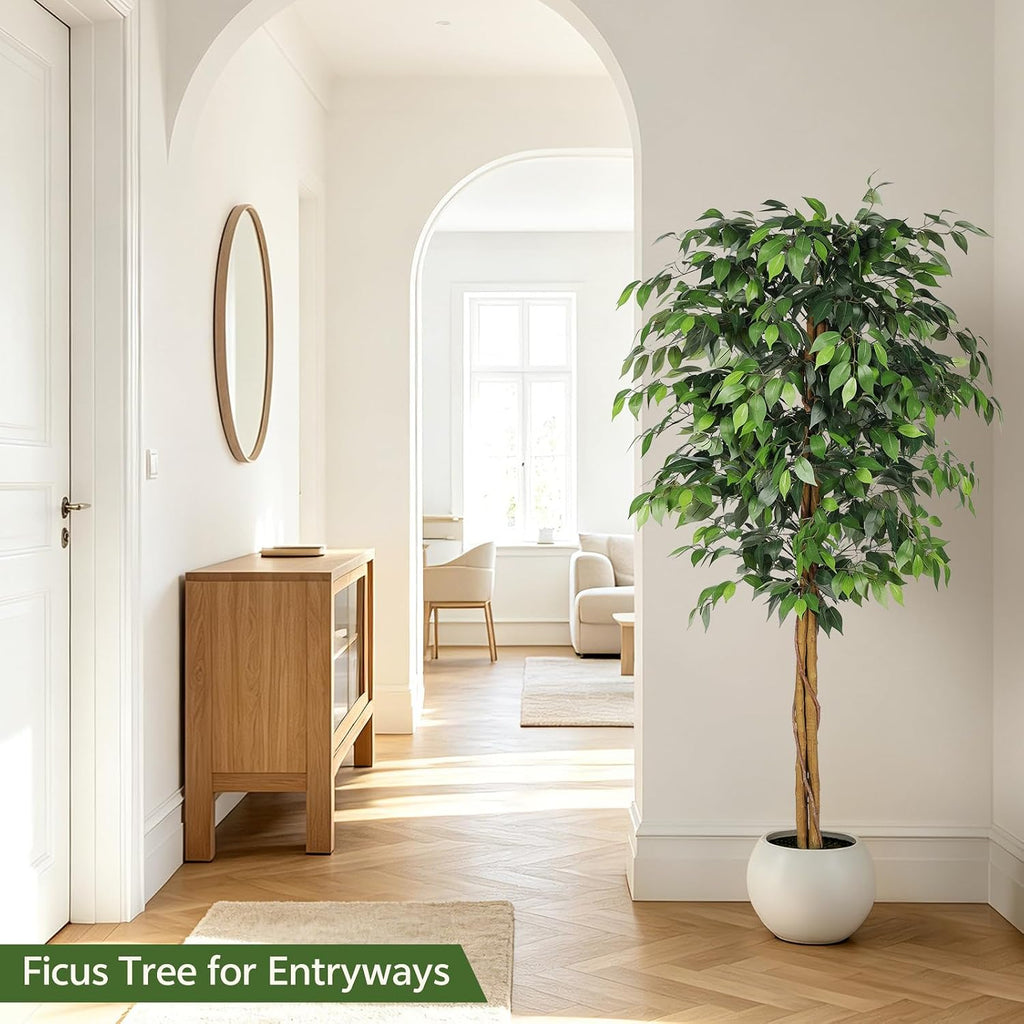 6ft Artificial Ficus Tree with Triple Trunk & Black Planter