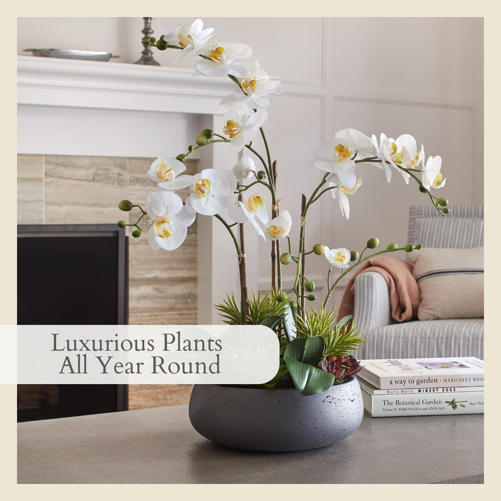 Faux Orchid Plant w/Succulents, 24 in, Grey, Home Decor