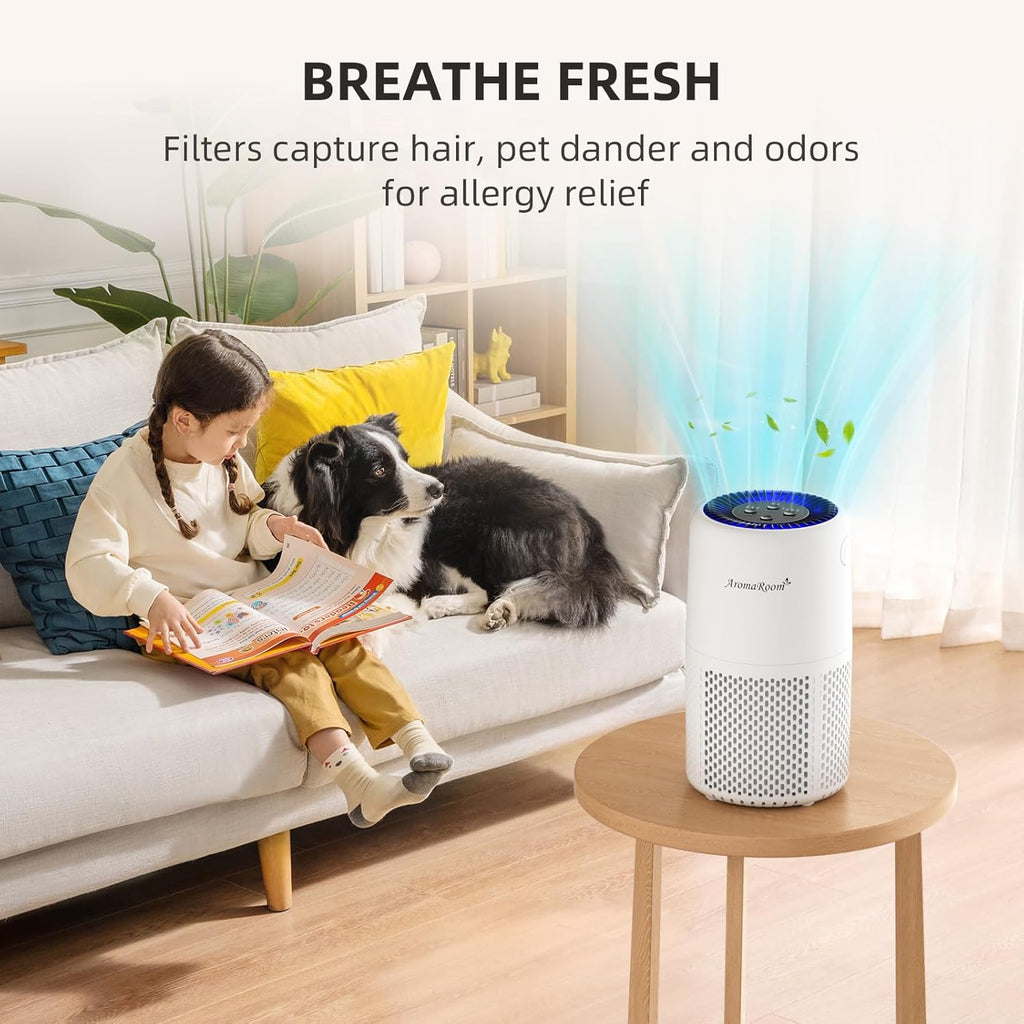 Air Purifier for Home Bedroom, H13 HEPA Air Filter For Smoke Pollen Dander Hair Smell Air Cleaner, 3