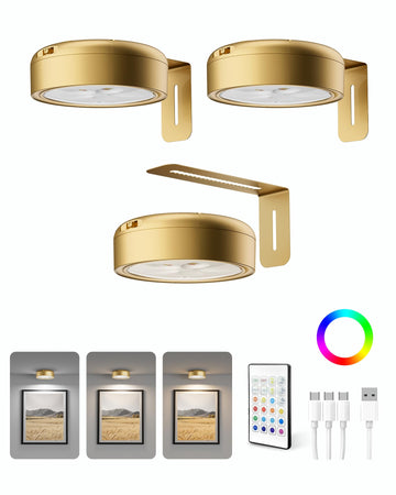 3 Pack Picture Lights for Wall, 2200mAh Rechargeable, Gold