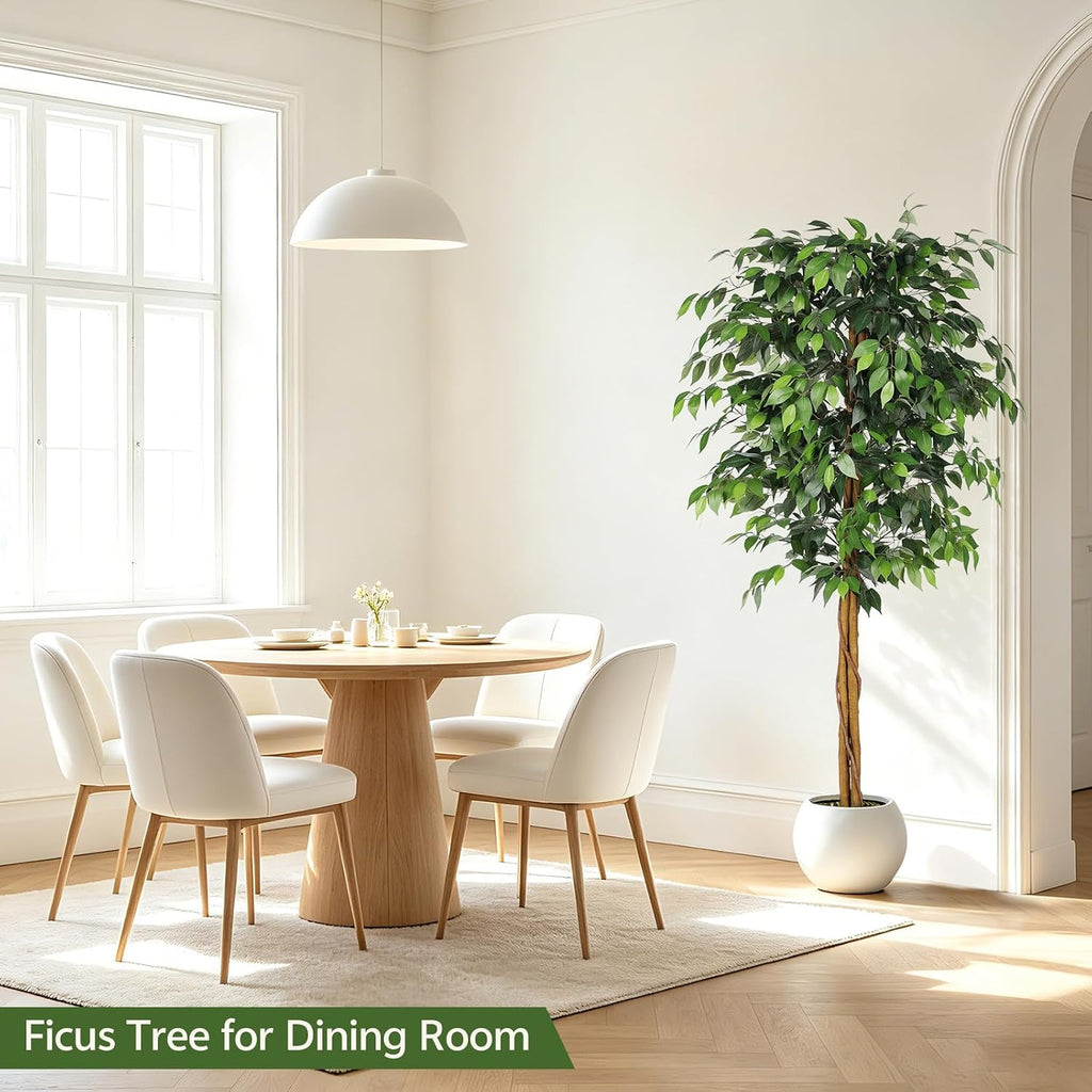 6ft Artificial Ficus Tree with Triple Trunk & Black Planter
