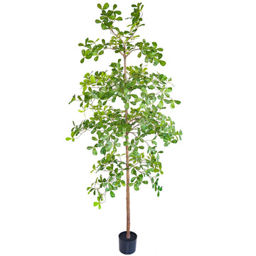 Artificial Black Olive Tree, 7FT Tall Big Faux Shady Lady Tree with Potted, Fake Olive Tree Decor Indoor