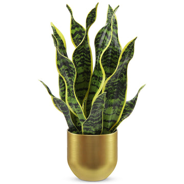 Artificial Snake Plant Potted Faux Sansevieria Trifasciata Plants, 16.9" Tropical Mother in Law Tongue Fake Plants in