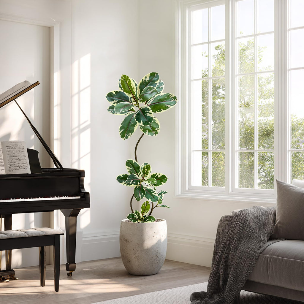 Artificial Variegated Rubber Tree 5.3FT