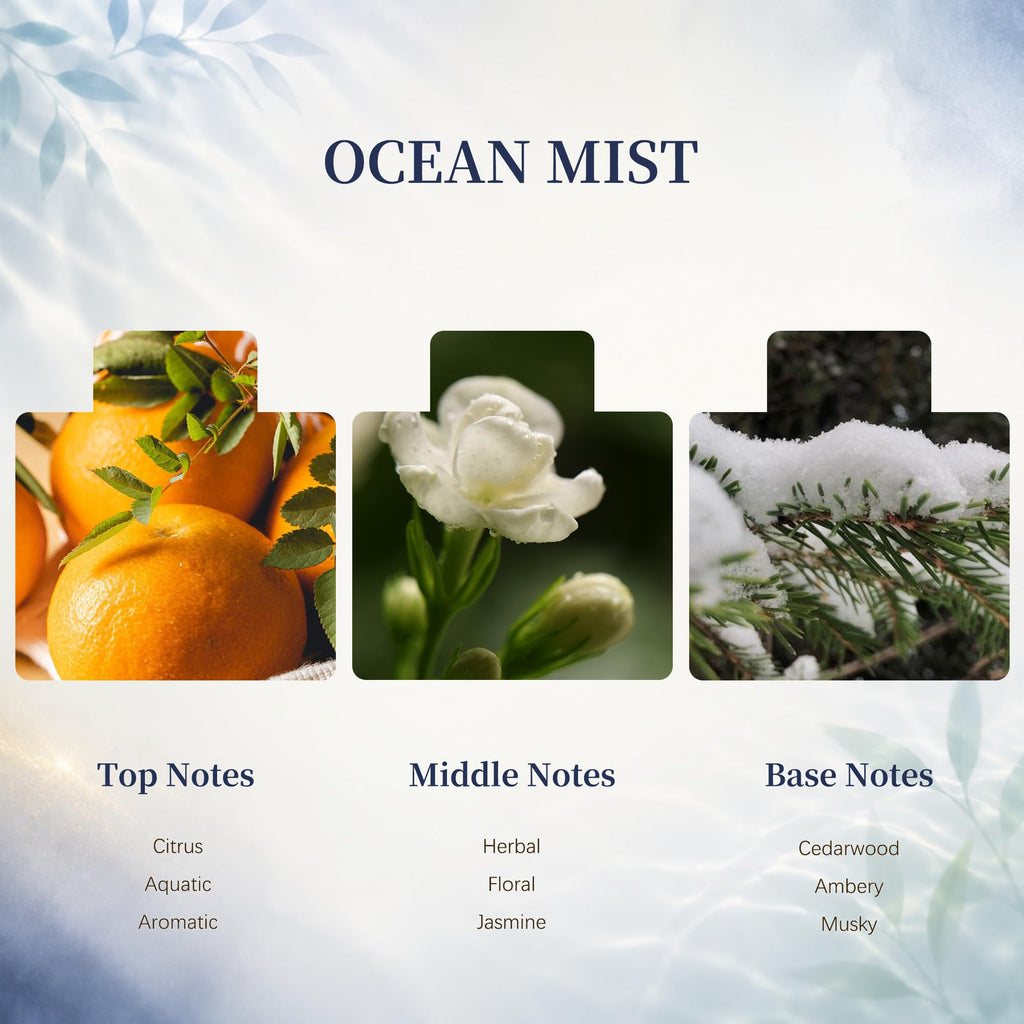 Flower Reed Diffusers Set, 5.07 oz Ocean Mist Scented Oil Diffuser with 8 Reed Sticks, Home Fragrance Diffuser Gift