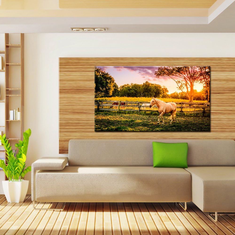 Large Size Horse of a Farm Canvas Prints Wall Art Picture Modern Sunset Landscape Wild Animal High Definition Print
