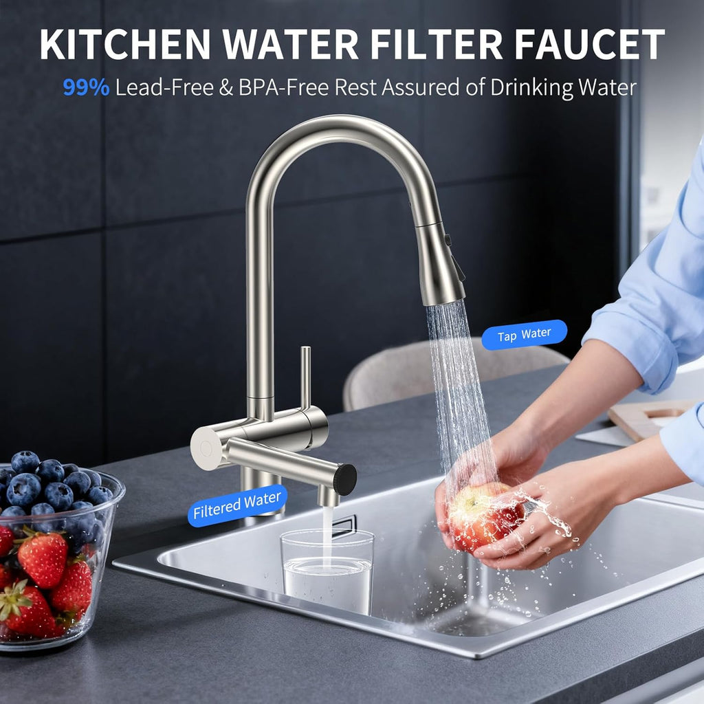 Kitchen Faucets with Filtered, Stainless Steel Filter Kitchen Faucet with Pull Down Sprayer Reduces Lead, Chlorine